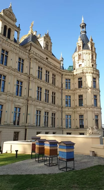 228510414 2024391374365857 885084762484518023 N