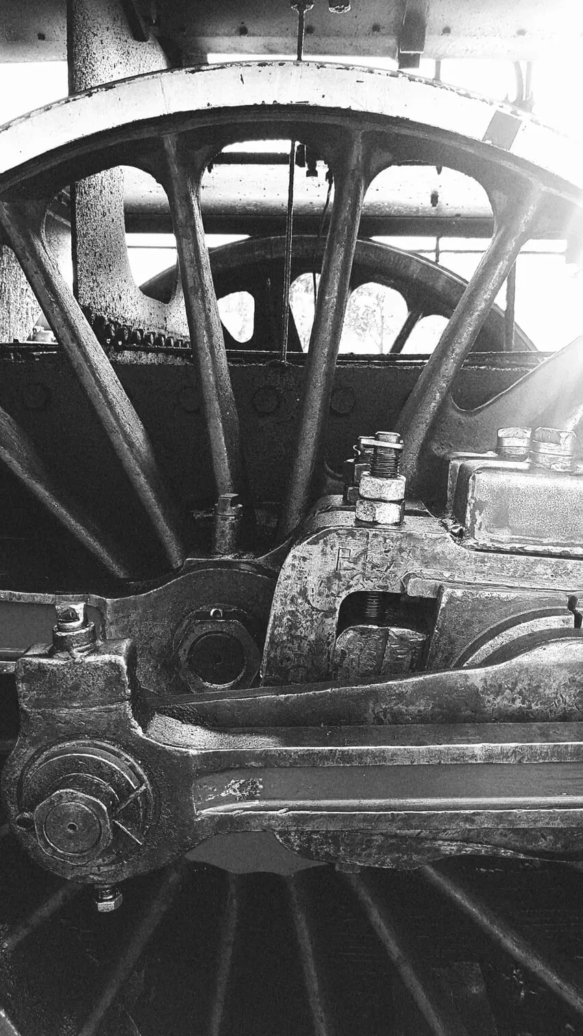 20210620 105330 Resized