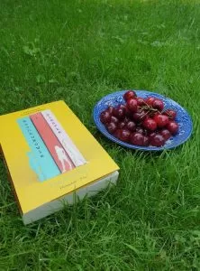 226291803 219068023447165 4445533876608684635 N