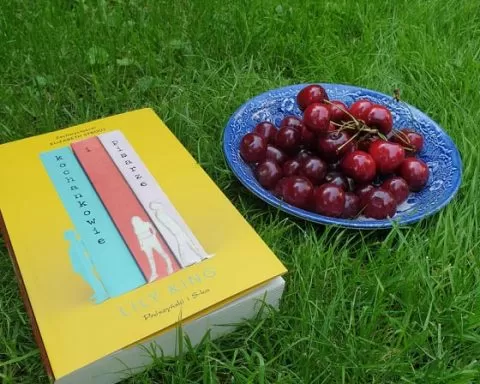 226291803 219068023447165 4445533876608684635 N