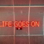 Minkus 0iAAwxuQopg Unsplash 1 1