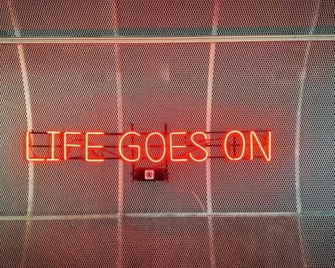 Minkus 0iAAwxuQopg Unsplash 1 1