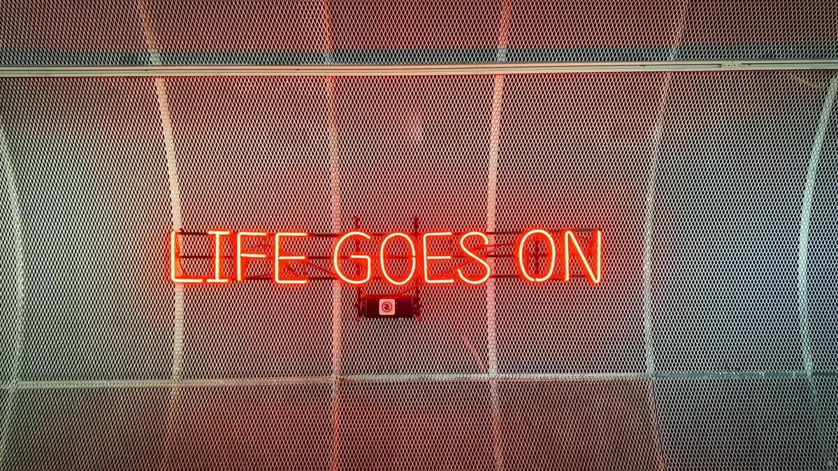 Minkus 0iAAwxuQopg Unsplash 1 1