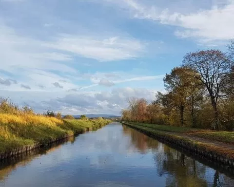 Muriel Gargre NjBNQ7CVIG4 Unsplash 1 1