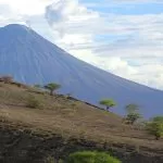 6 GORA BOGA I ZIELENIACE SIE AKACJE DSC03588 2 1