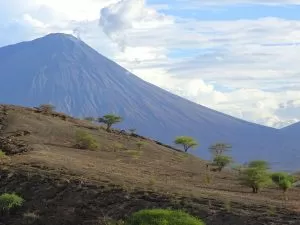 6 GORA BOGA I ZIELENIACE SIE AKACJE DSC03588 2 1