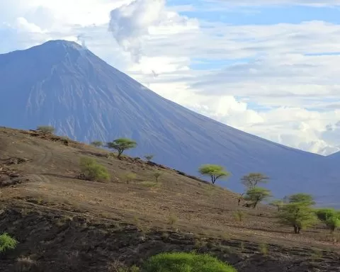 6 GORA BOGA I ZIELENIACE SIE AKACJE DSC03588 2 1