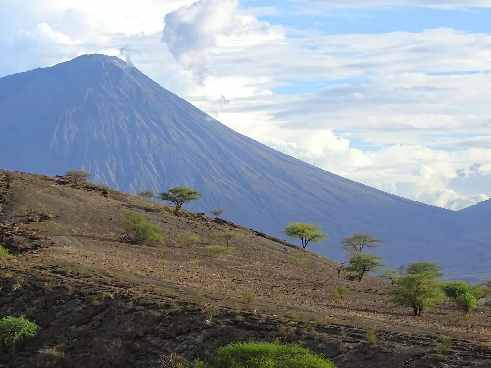 6 GORA BOGA I ZIELENIACE SIE AKACJE DSC03588 2 1