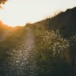 Francesco Gallarotti RL6sOvctpo4 Unsplash 3 1