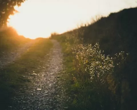 Francesco Gallarotti RL6sOvctpo4 Unsplash 3 1