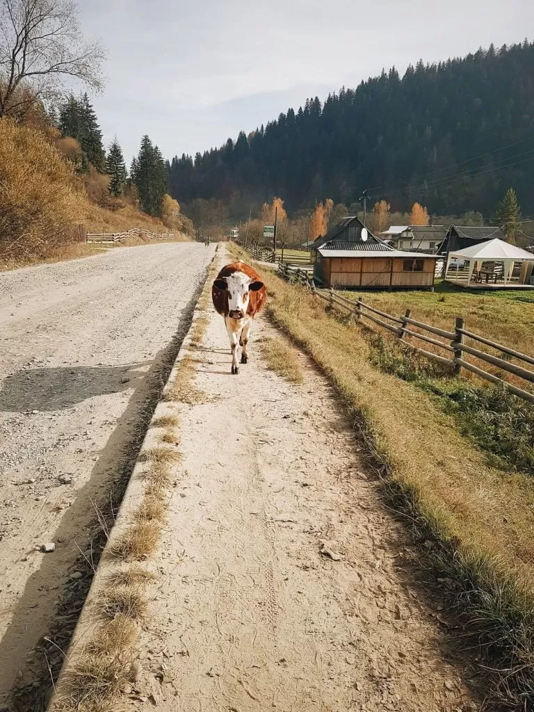 2019 10 21 08.45.02 1