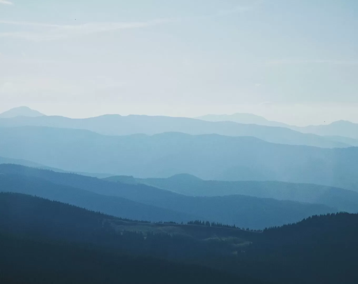 IMG 20191224 101519 777