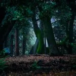 Donald Giannatti 7ne3hNnojvU Unsplash 1 1