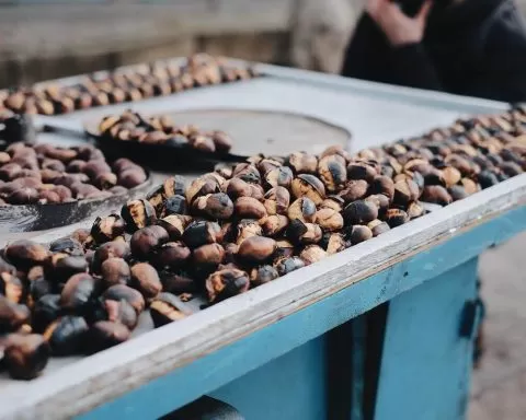 pieczone kasztany sprzedawane na ulicznym stoisku