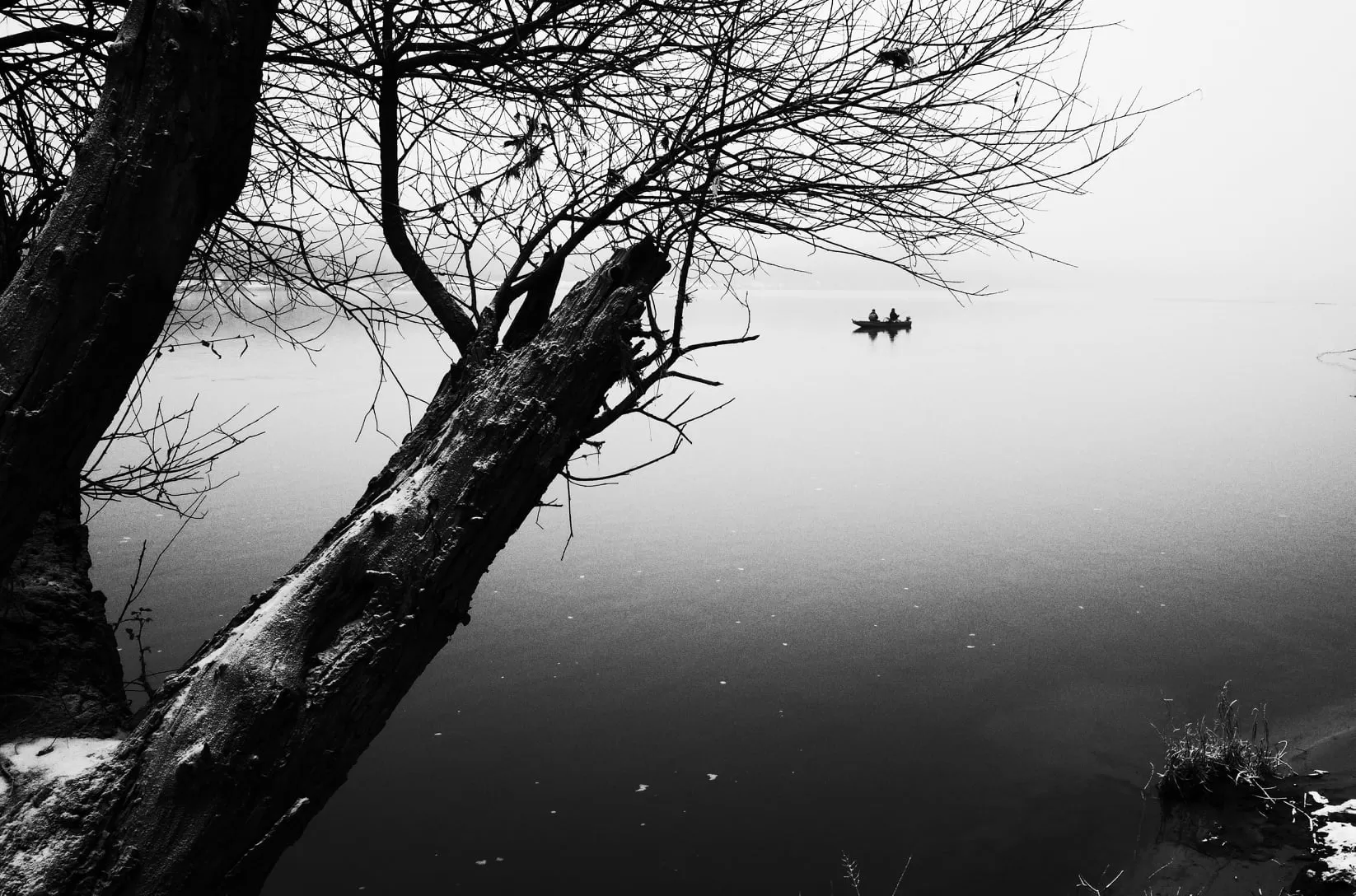 267759086 445619617172477 9135061688873431227 N 1