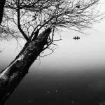 267759086 445619617172477 9135061688873431227 N