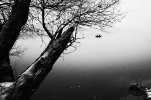 267759086 445619617172477 9135061688873431227 N