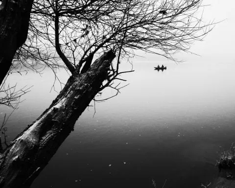 267759086 445619617172477 9135061688873431227 N