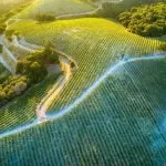 Cameron Venti CP1dce FeY Unsplash 1 1