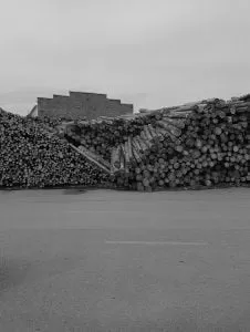 IMG 2018 08 11 09 57 44 1