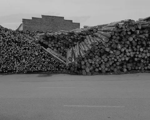 IMG 2018 08 11 09 57 44 1