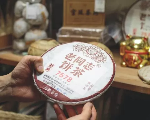 Petr Sidorov HhALlU5H2b0 Unsplash 1 1