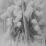 IMG 2020 04 27 21 36 52 1