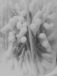 IMG 2020 04 27 21 36 52 1