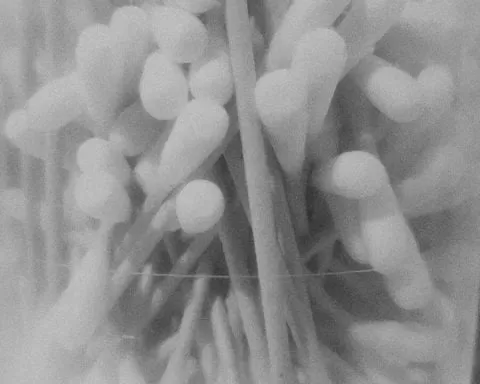 IMG 2020 04 27 21 36 52 1