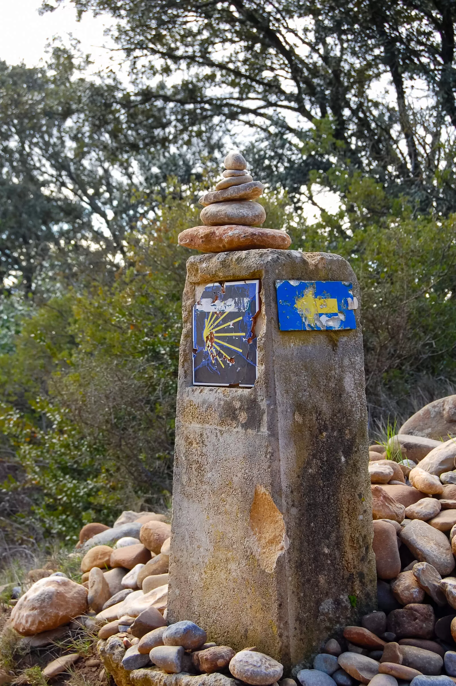 Muszla św. Jakuba to oficjalny znak Camino de Santiago