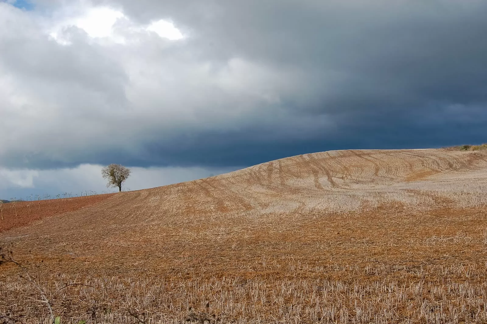 La Rioja to dopiero pierwsza część pielgrzymki Camino de Santiago