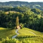 F014487 02 Alpska Slovenija Spicnik Srce Med Vinogradi 1 Photo M 1