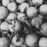 IMG 2017 11 14 11 13 12 1