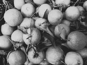 IMG 2017 11 14 11 13 12 1