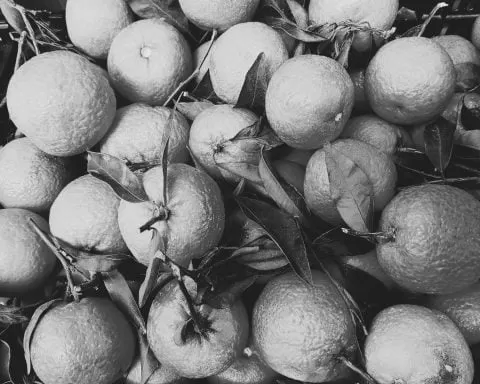 IMG 2017 11 14 11 13 12 1