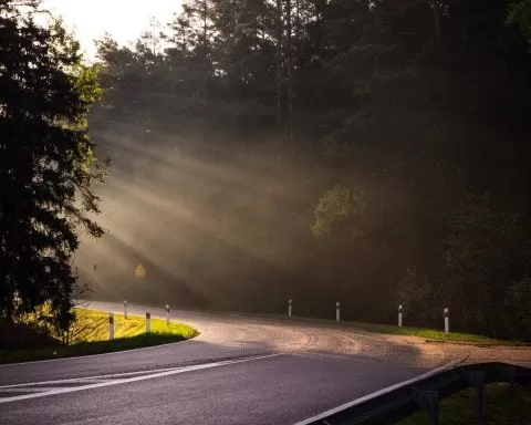 pusta ulica w promieniach słońca o poranku