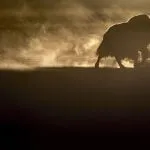 duch śniegów - recenzja