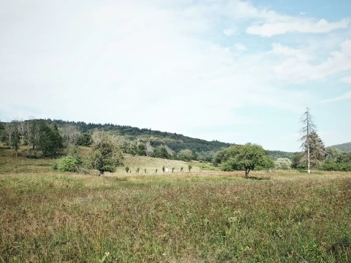 2020 10 20 091633238 1