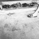 IMG 2018 11 28 16 24 45 1