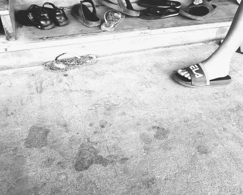 IMG 2018 11 28 16 24 45 1