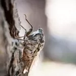 Manuel Bartsch FoiMiFmY Us Unsplash 1 1