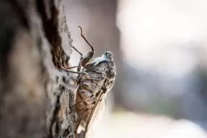 Manuel Bartsch FoiMiFmY Us Unsplash 1 1