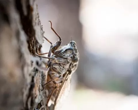 Manuel Bartsch FoiMiFmY Us Unsplash 1 1