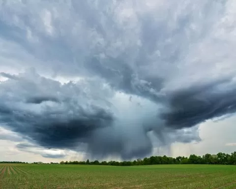 chmury burzowe nad polem