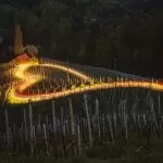 Spicnik Heart Road Vineyards