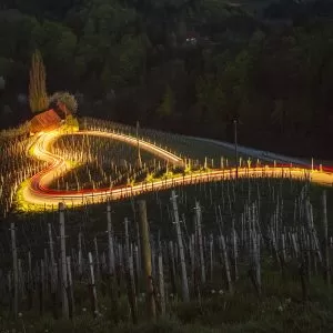 Spicnik Heart Road Vineyards