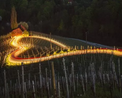 Spicnik Heart Road Vineyards