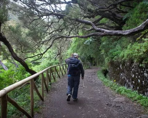 Madera Classic 5199 1