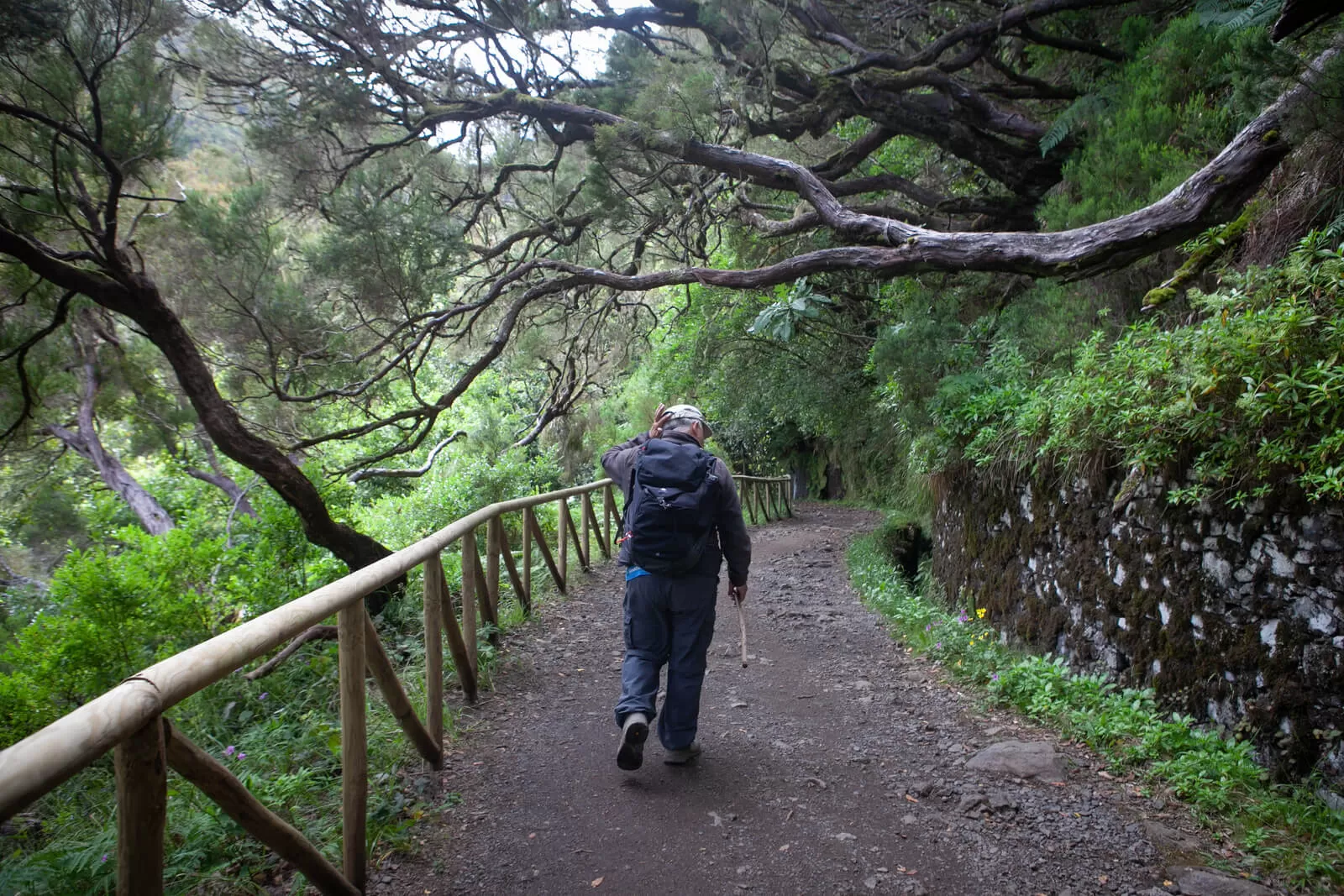 Madera Classic 5199 1