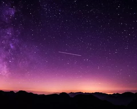 Vincentiu Solomon Ln5drpv ImI Unsplash 1 1